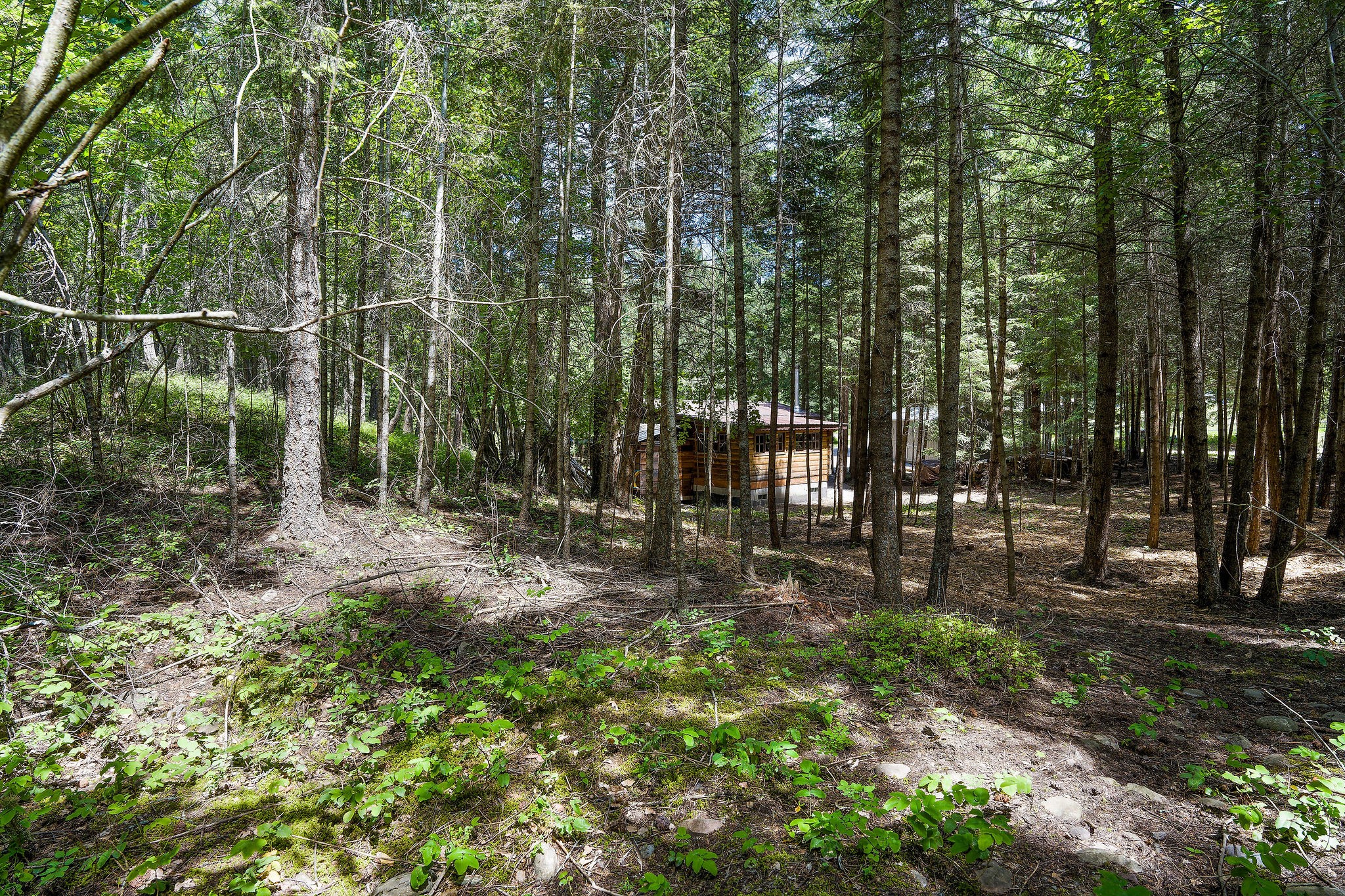 145 Grand Fir Trail