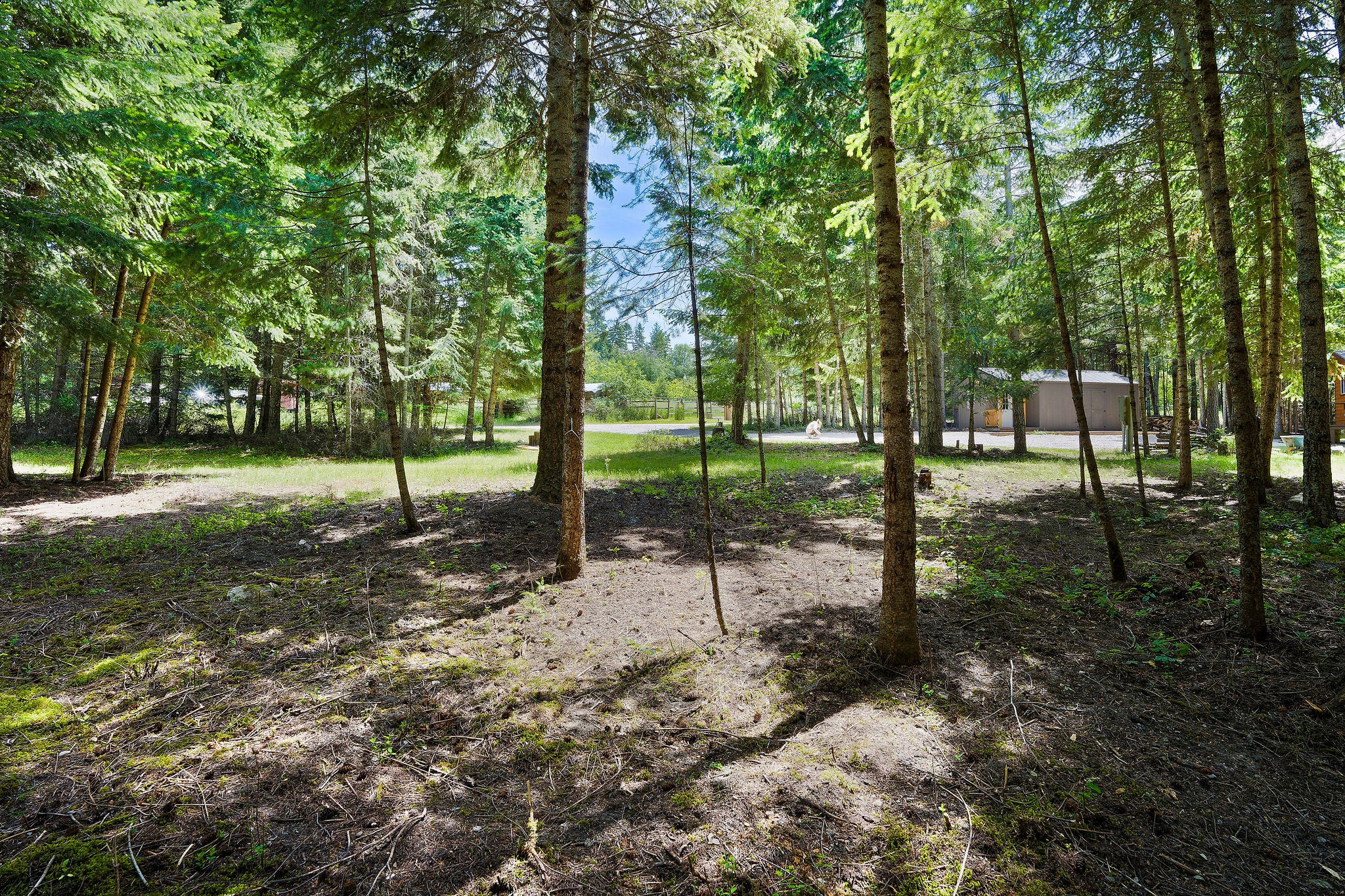 145 Grand Fir Trail