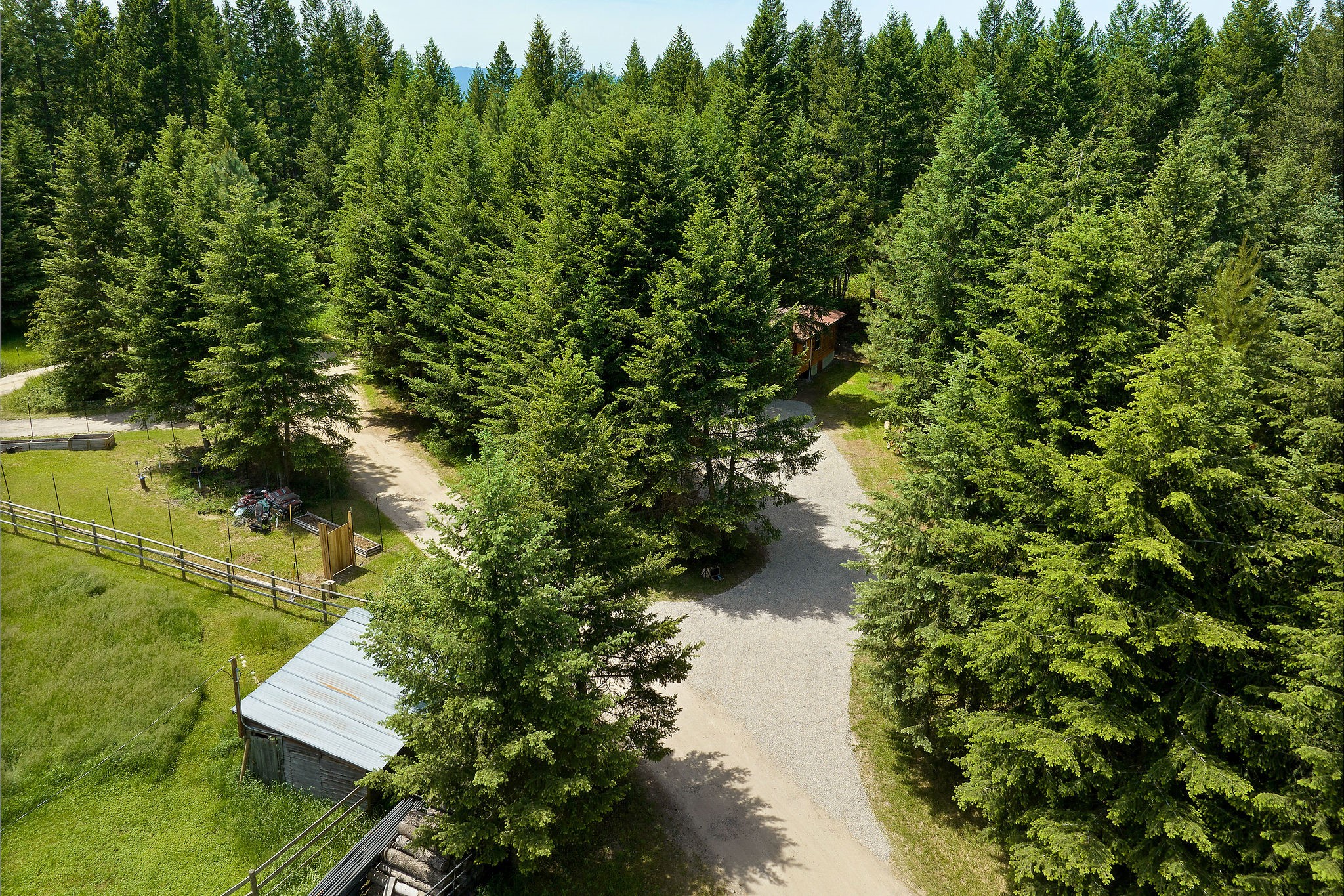 145 Grand Fir Trail