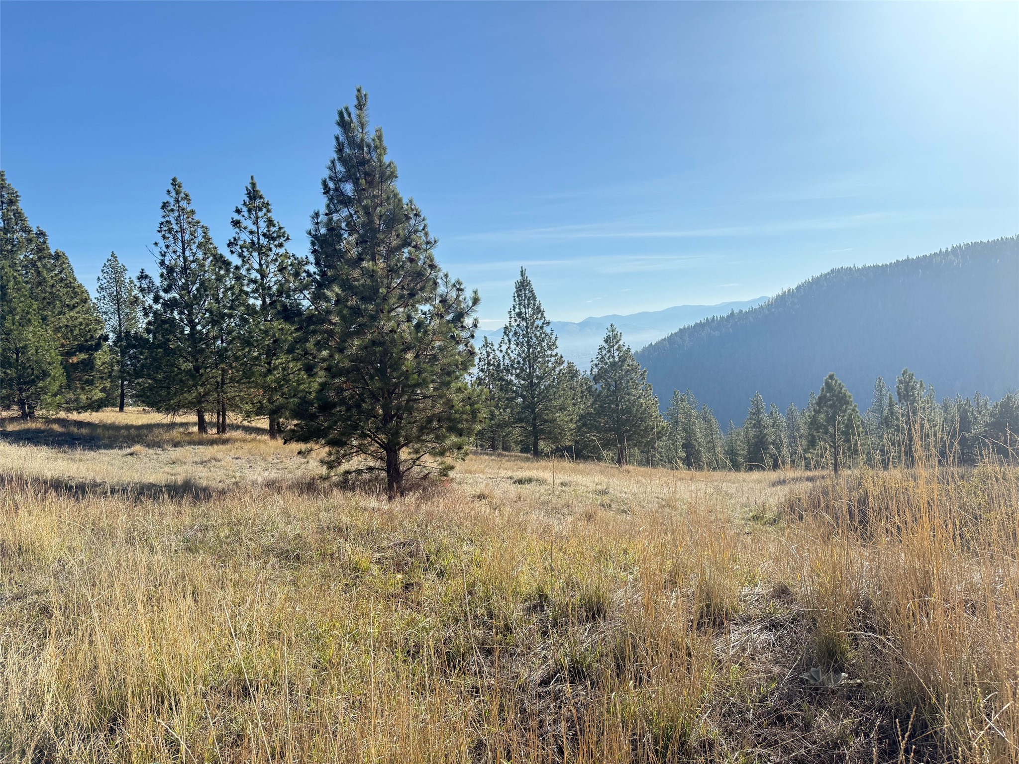 Parcel 1B-1 Dry Gulch Road
