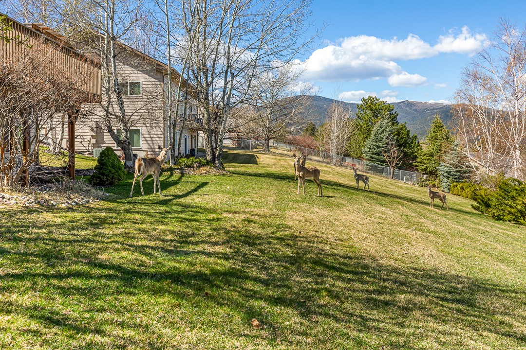 4863 Scott Allen Drive