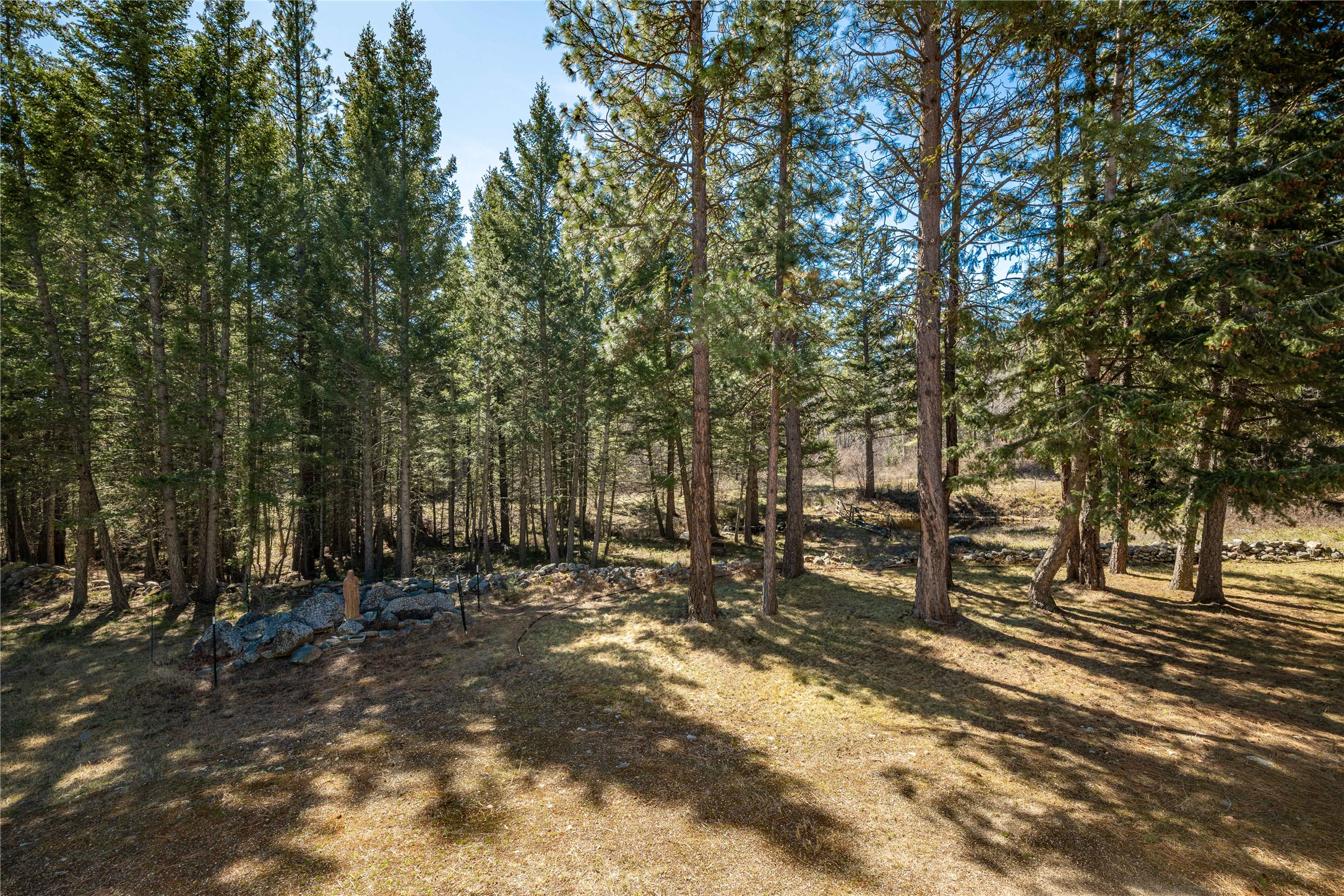 5559 Deer Lane