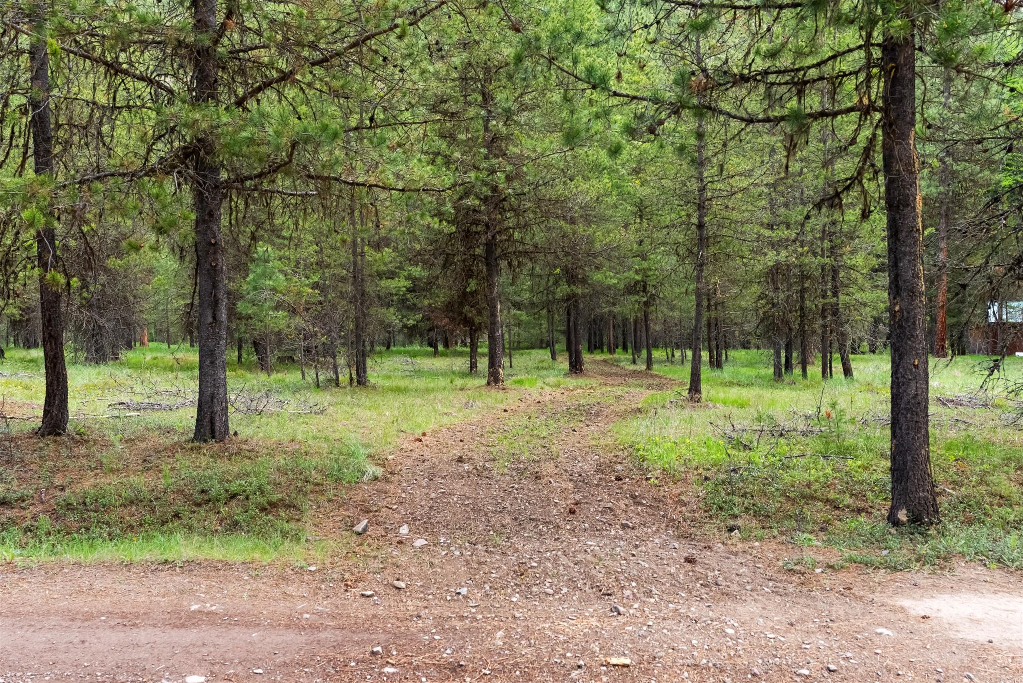 1155 Outback Trail