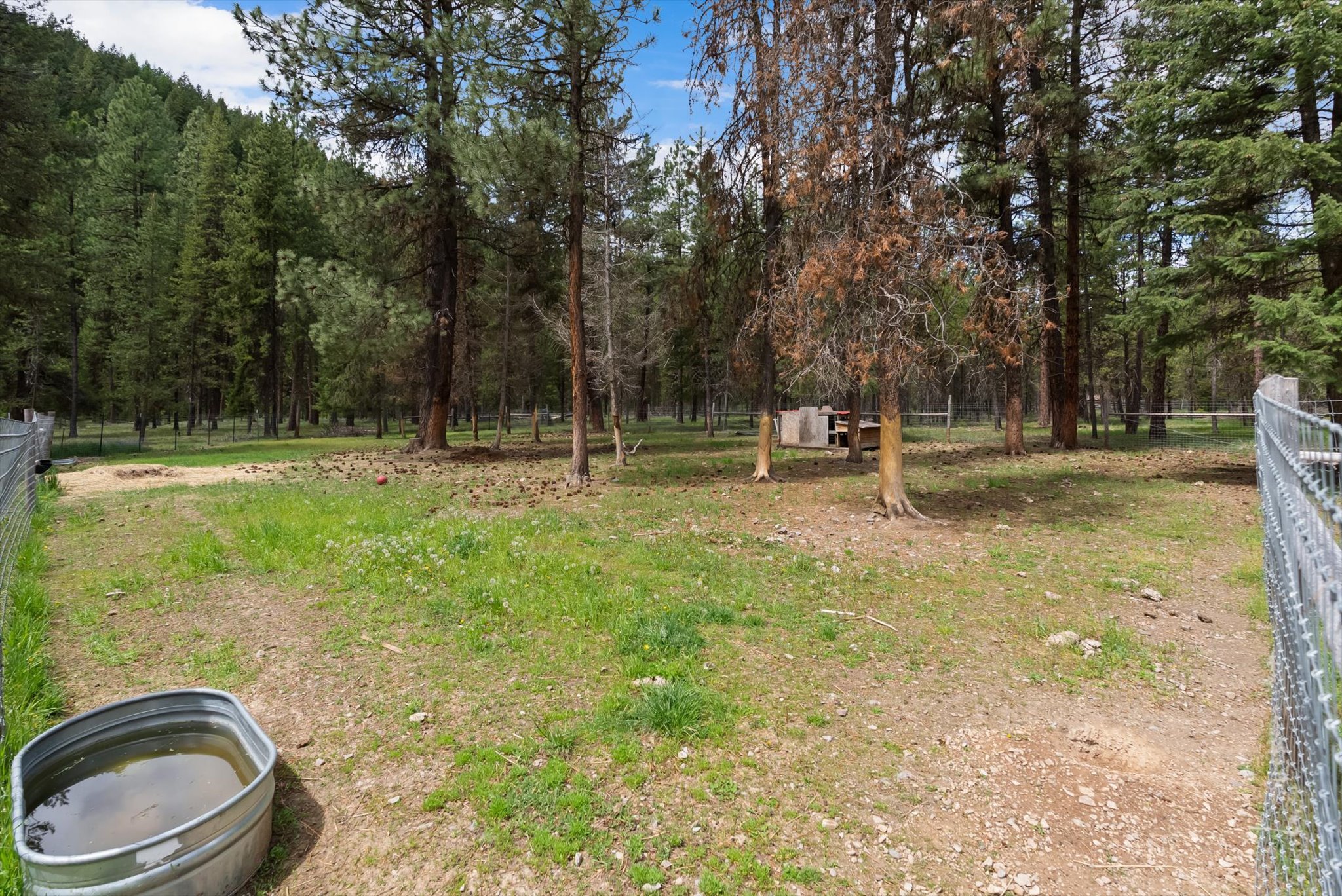 1155 Outback Trail