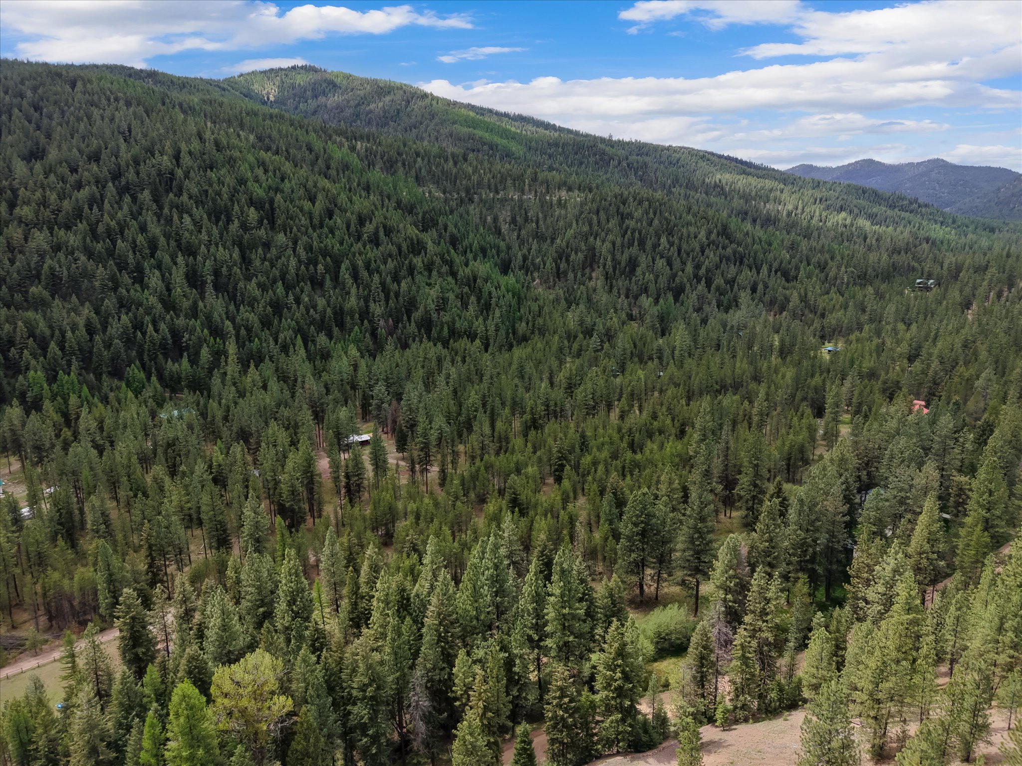 1155 Outback Trail