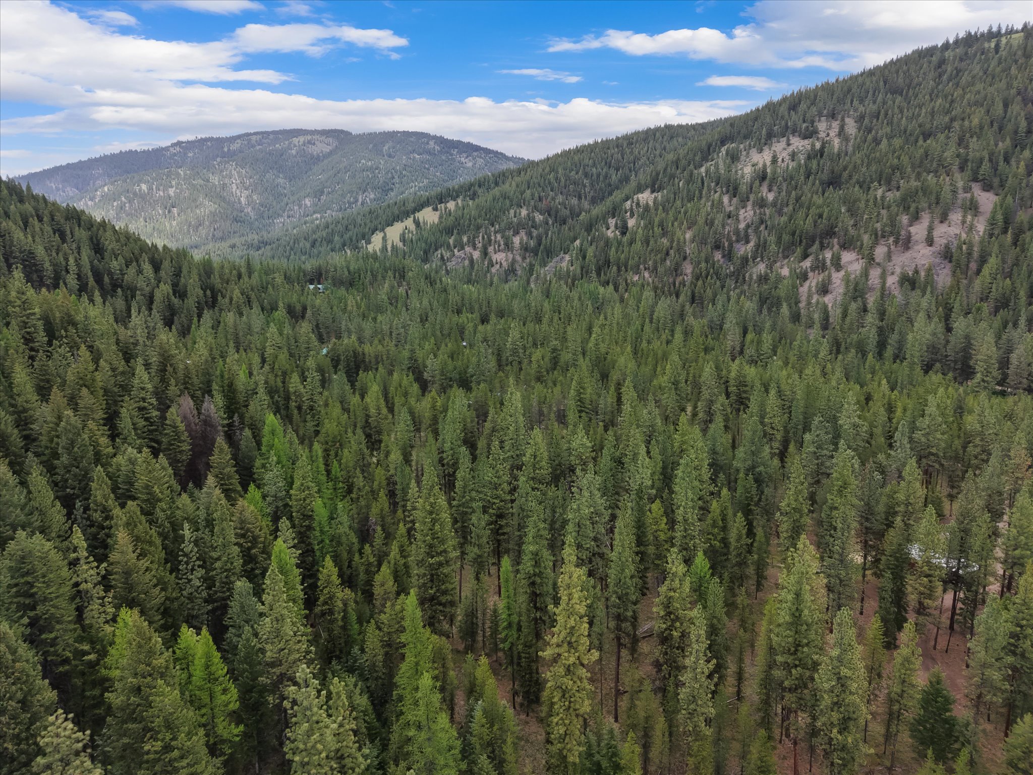 1155 Outback Trail