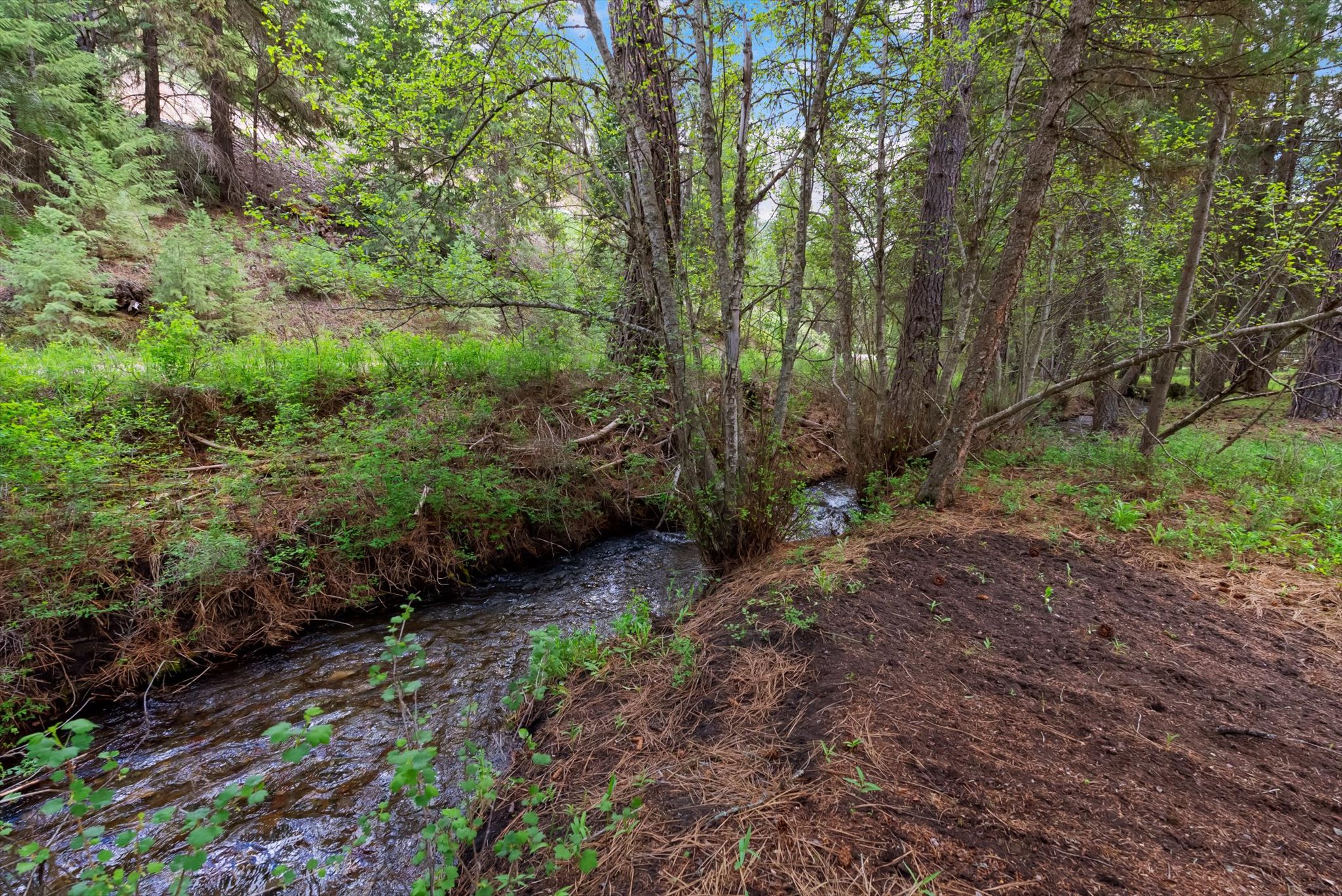 1155 Outback Trail