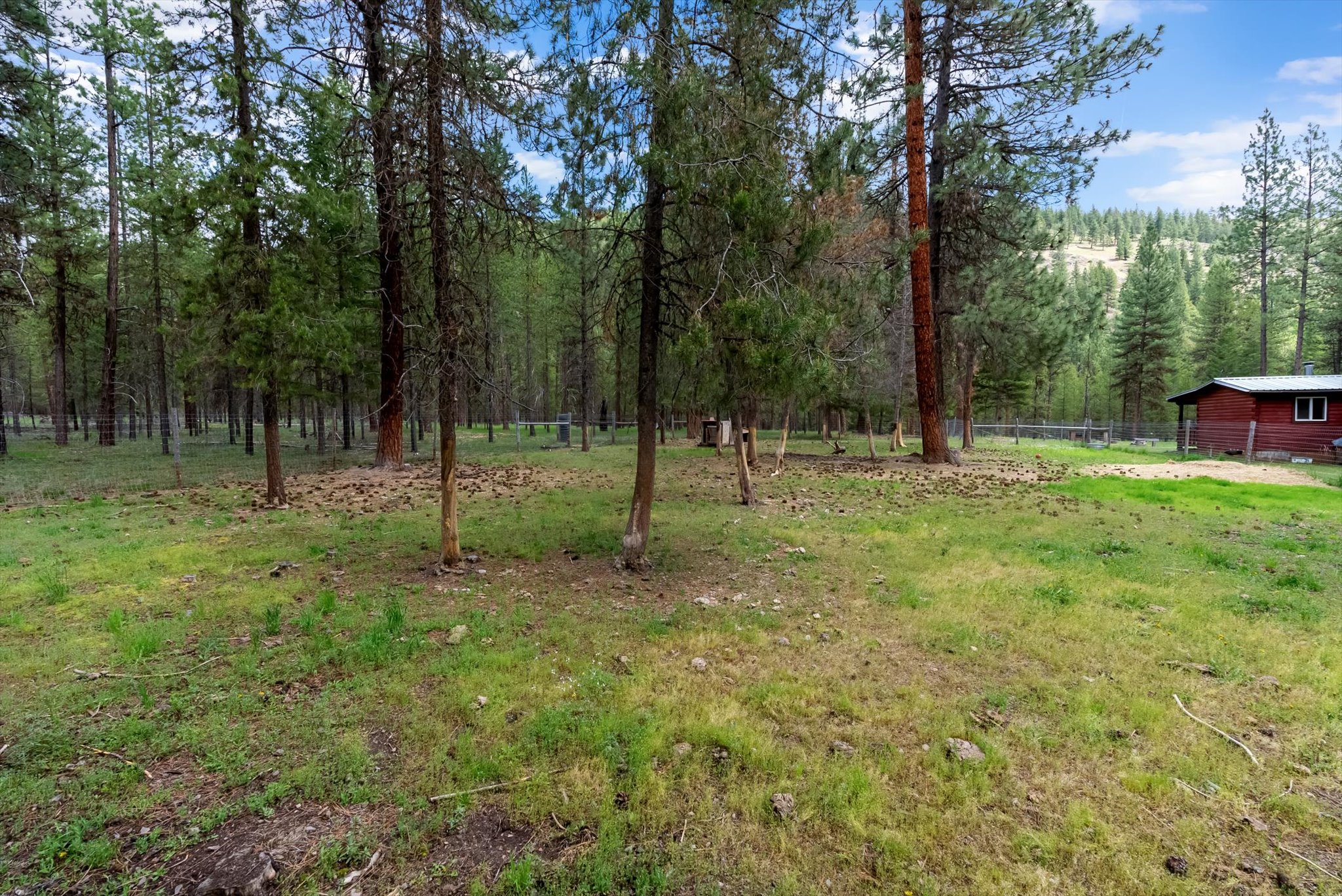 1155 Outback Trail