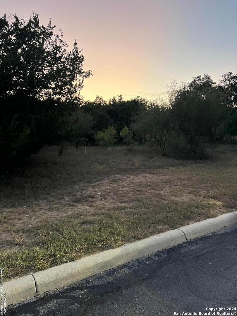 21311 Hampton Park