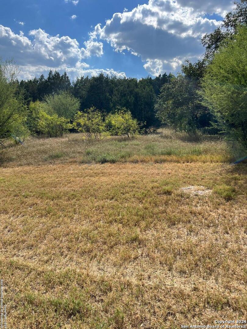 21311 Hampton Park