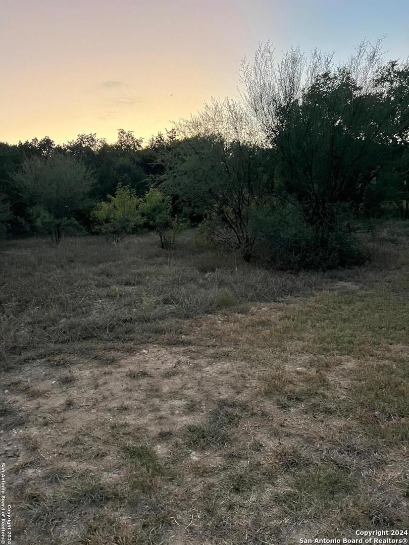 21311 Hampton Park