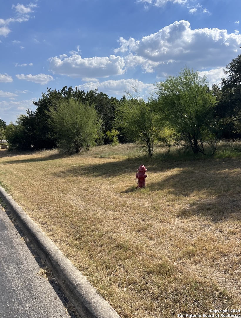 21311 Hampton Park