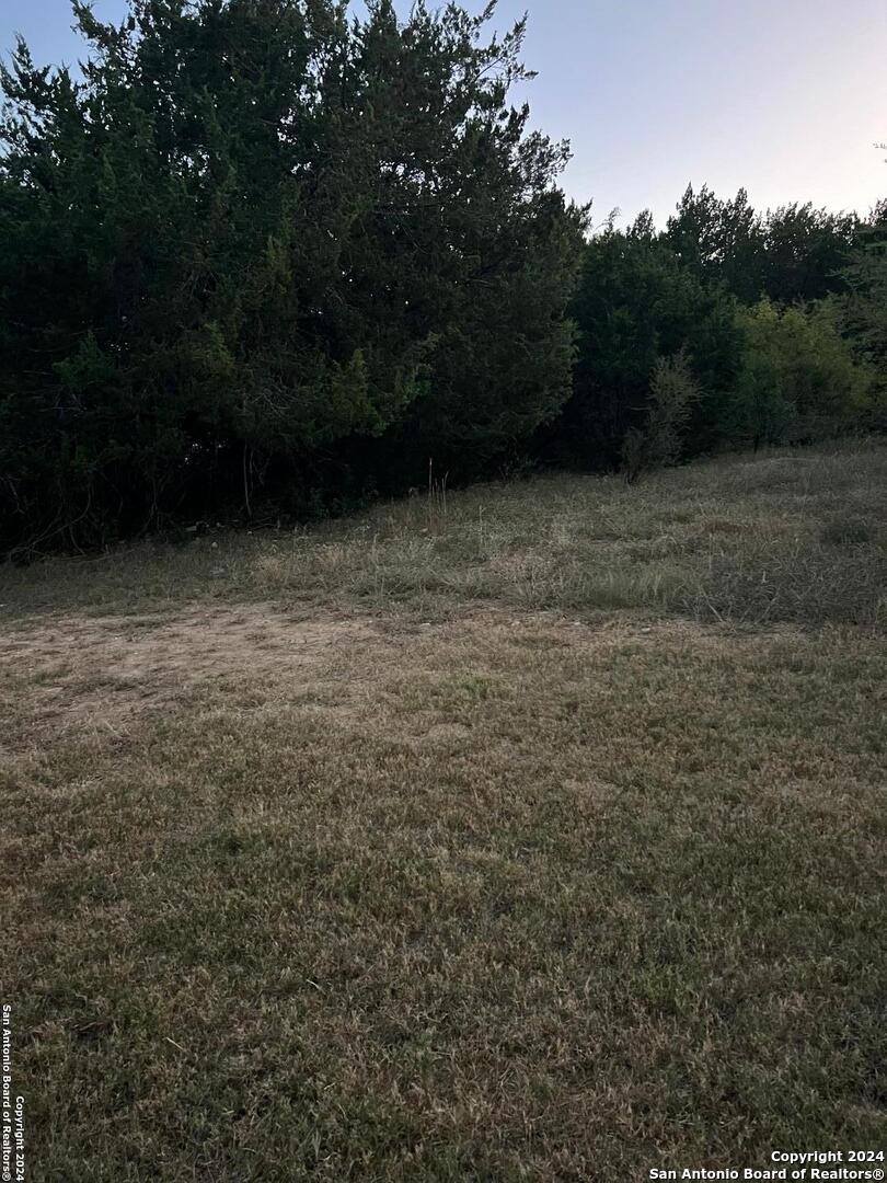 21311 Hampton Park