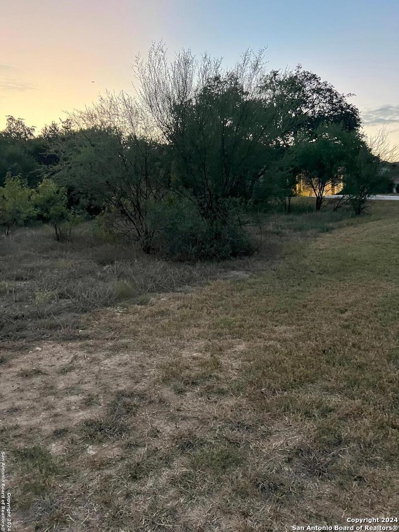 21311 Hampton Park