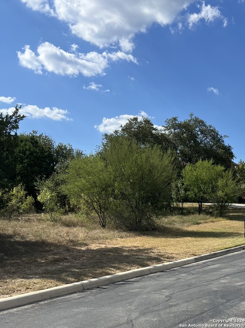 21311 Hampton Park