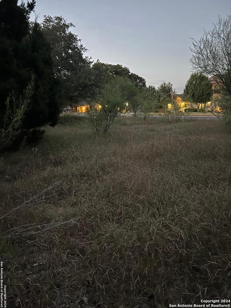 21311 Hampton Park