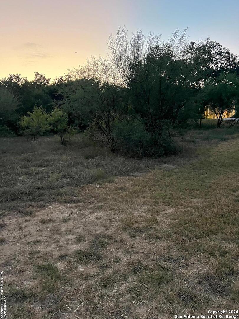 21311 Hampton Park
