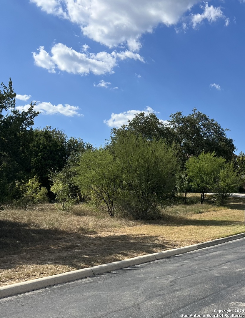 21311 Hampton Park