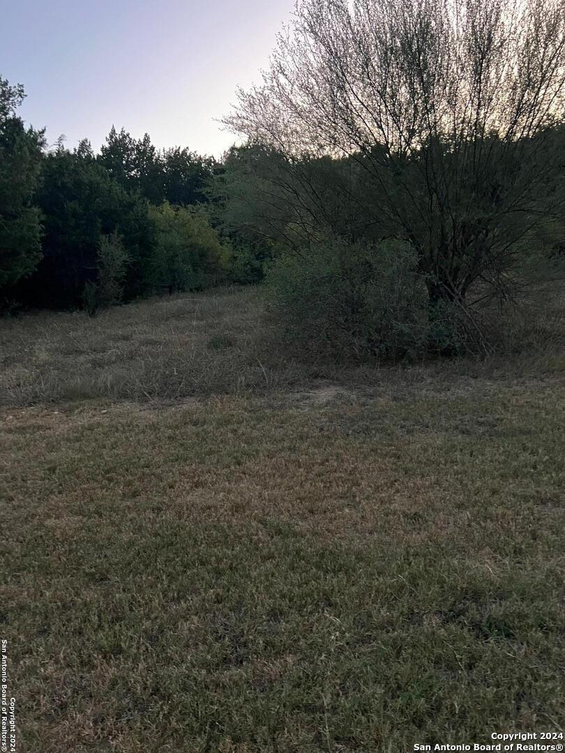 21311 Hampton Park