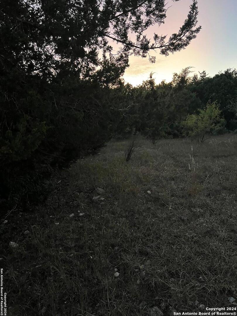 21311 Hampton Park