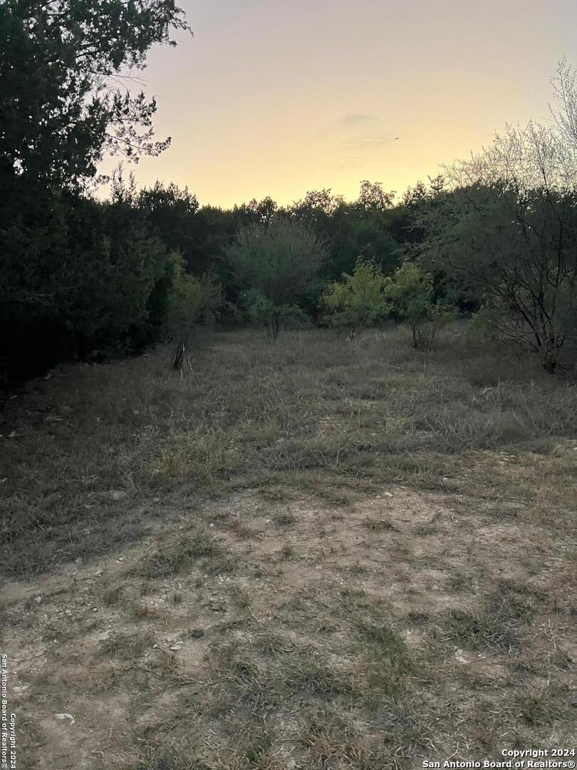 21311 Hampton Park