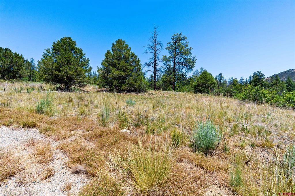 145 Wild Chives Court