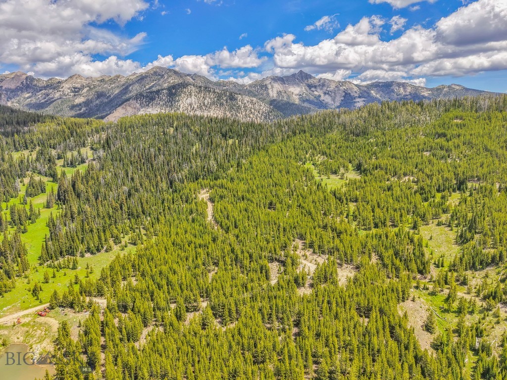 NHN Beehive Basin Road