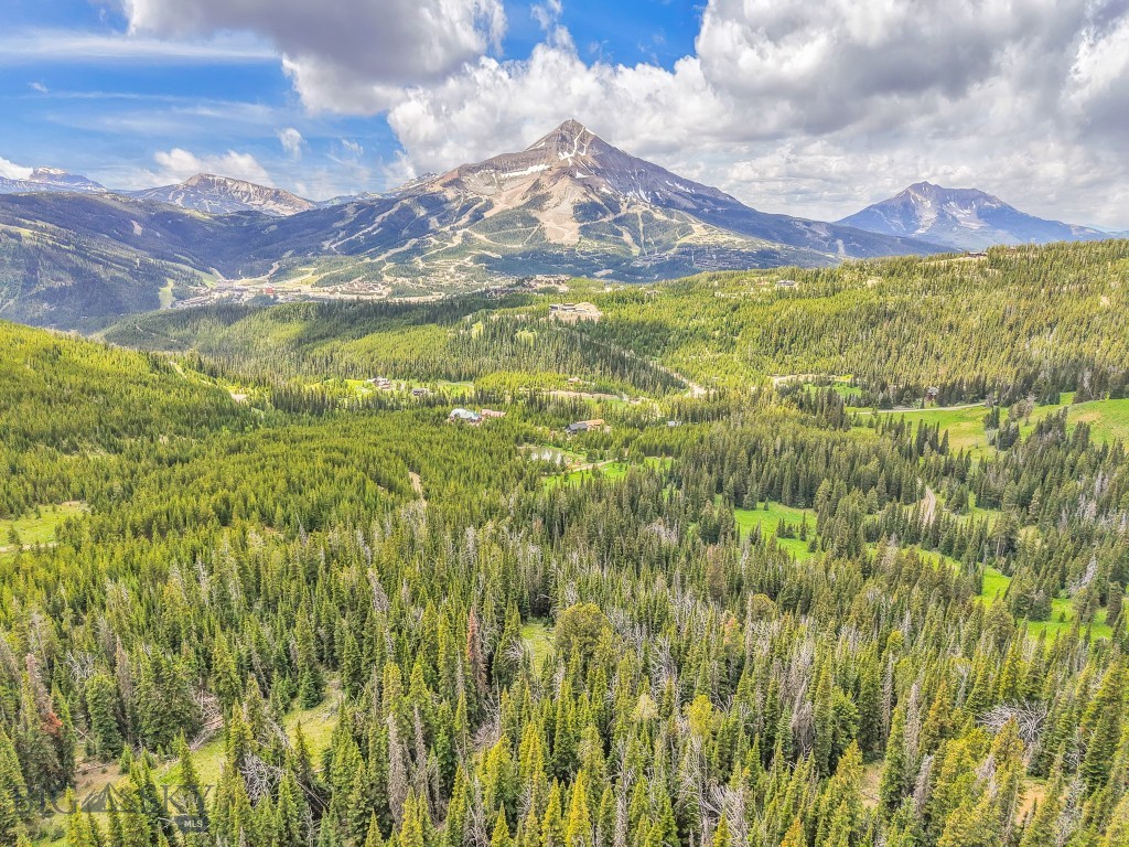 NHN Beehive Basin Road