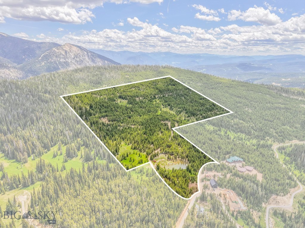 NHN Beehive Basin Road