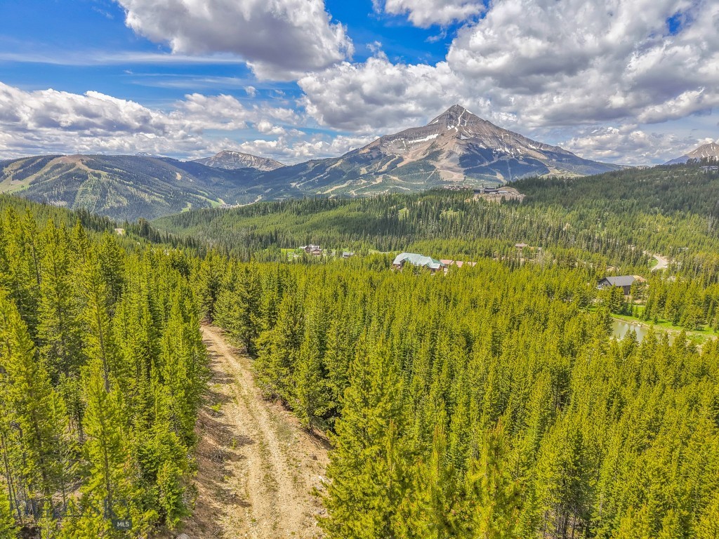 NHN Beehive Basin Road