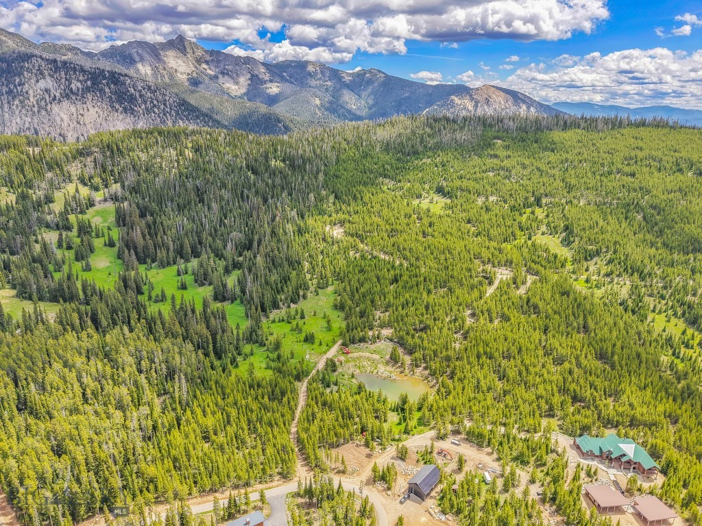 NHN Beehive Basin Road