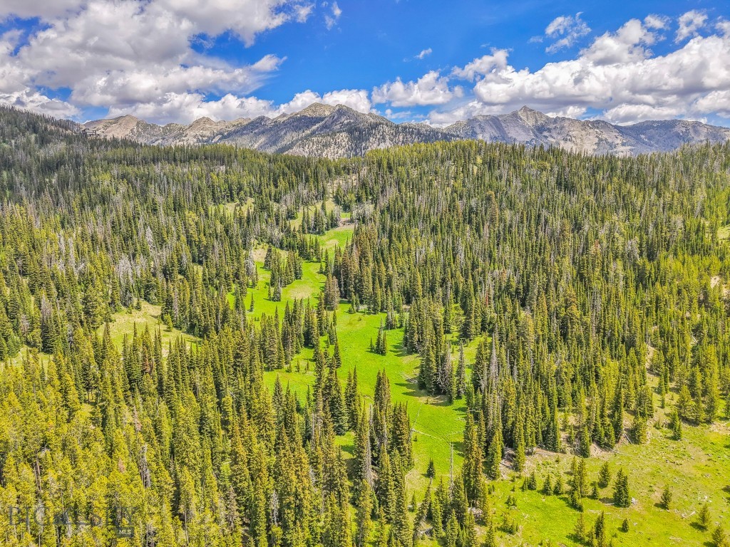 NHN Beehive Basin Road