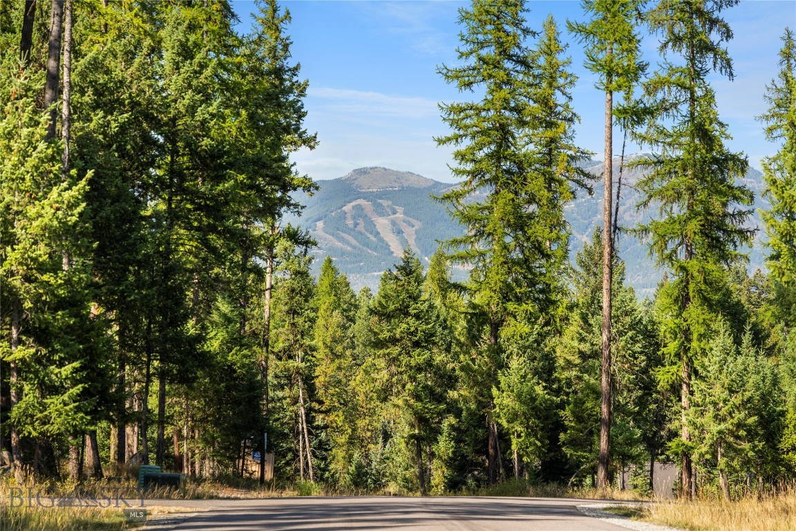 45 Meadow View Court