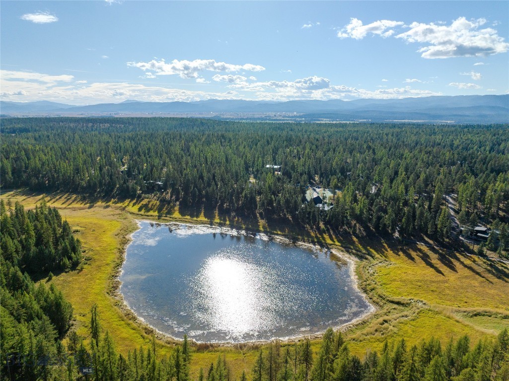 45 Meadow View Court