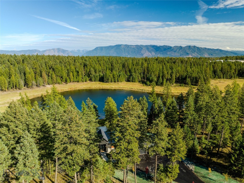 45 Meadow View Court