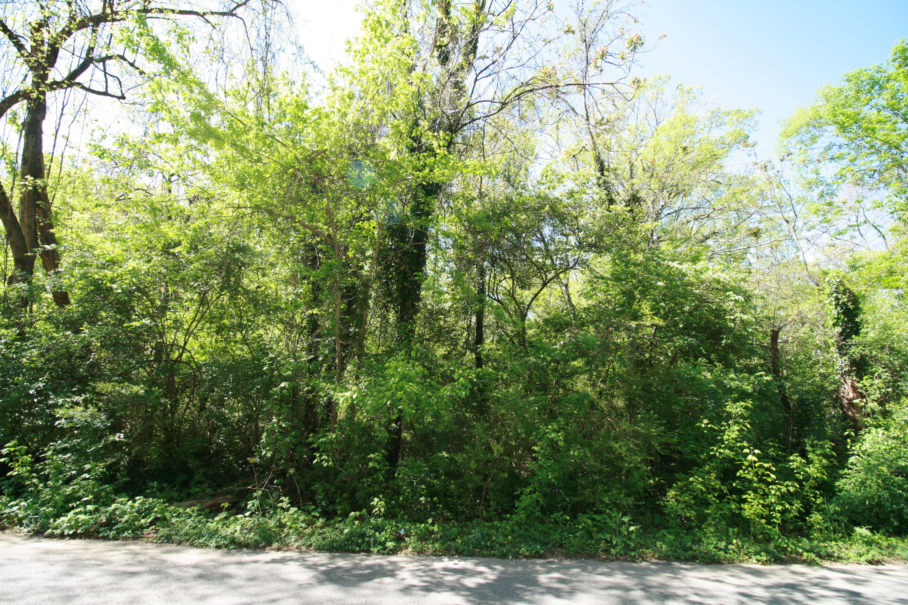 0 Pinewood Avenue, 2