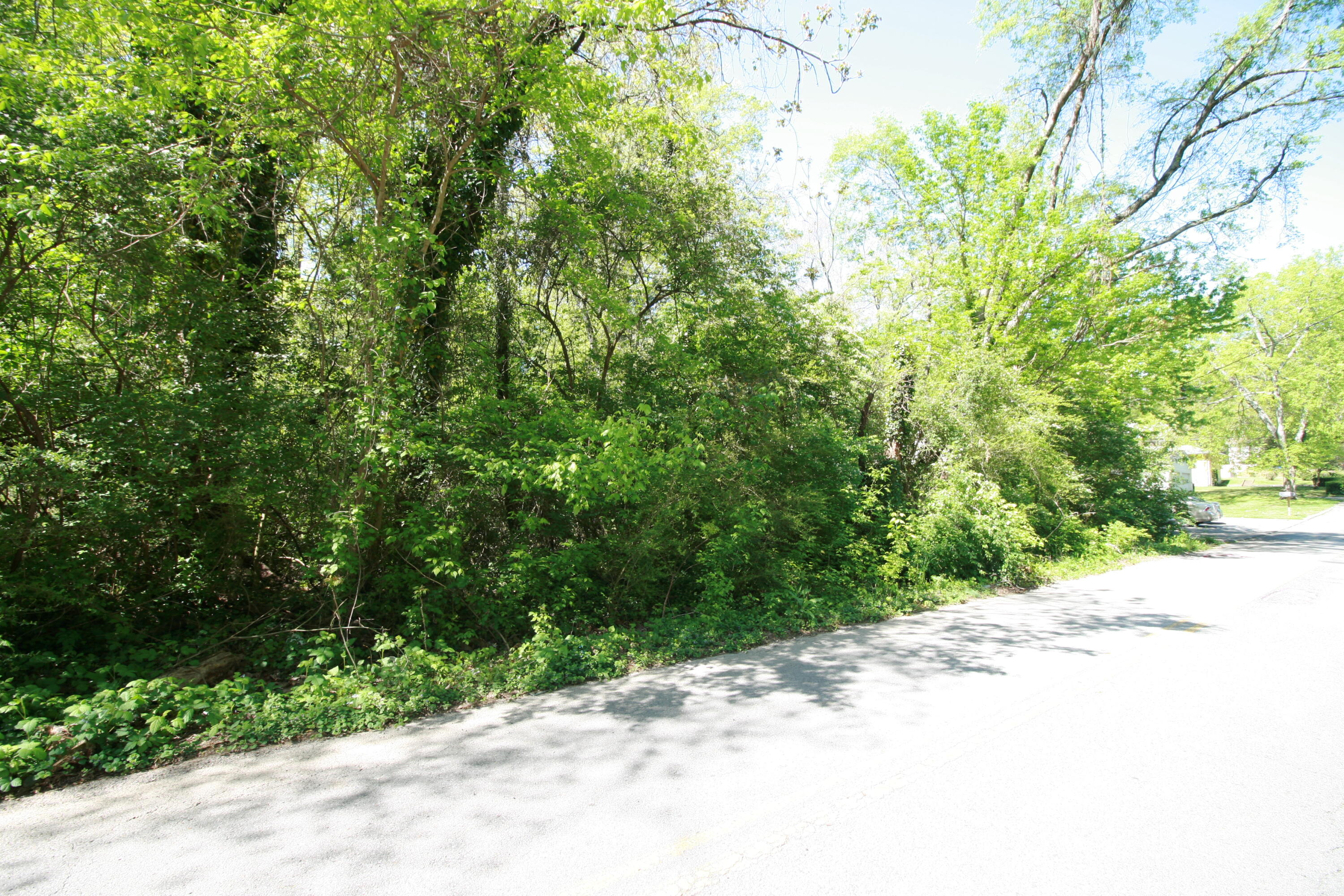 0 Pinewood Avenue, 2