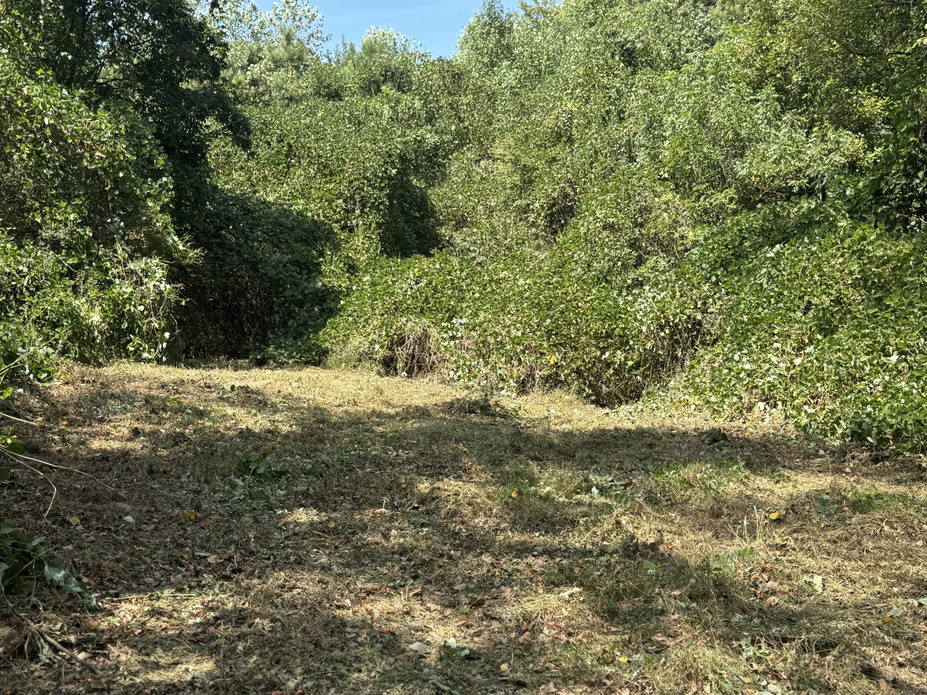 0 Long Hollow Road S, LaFayette