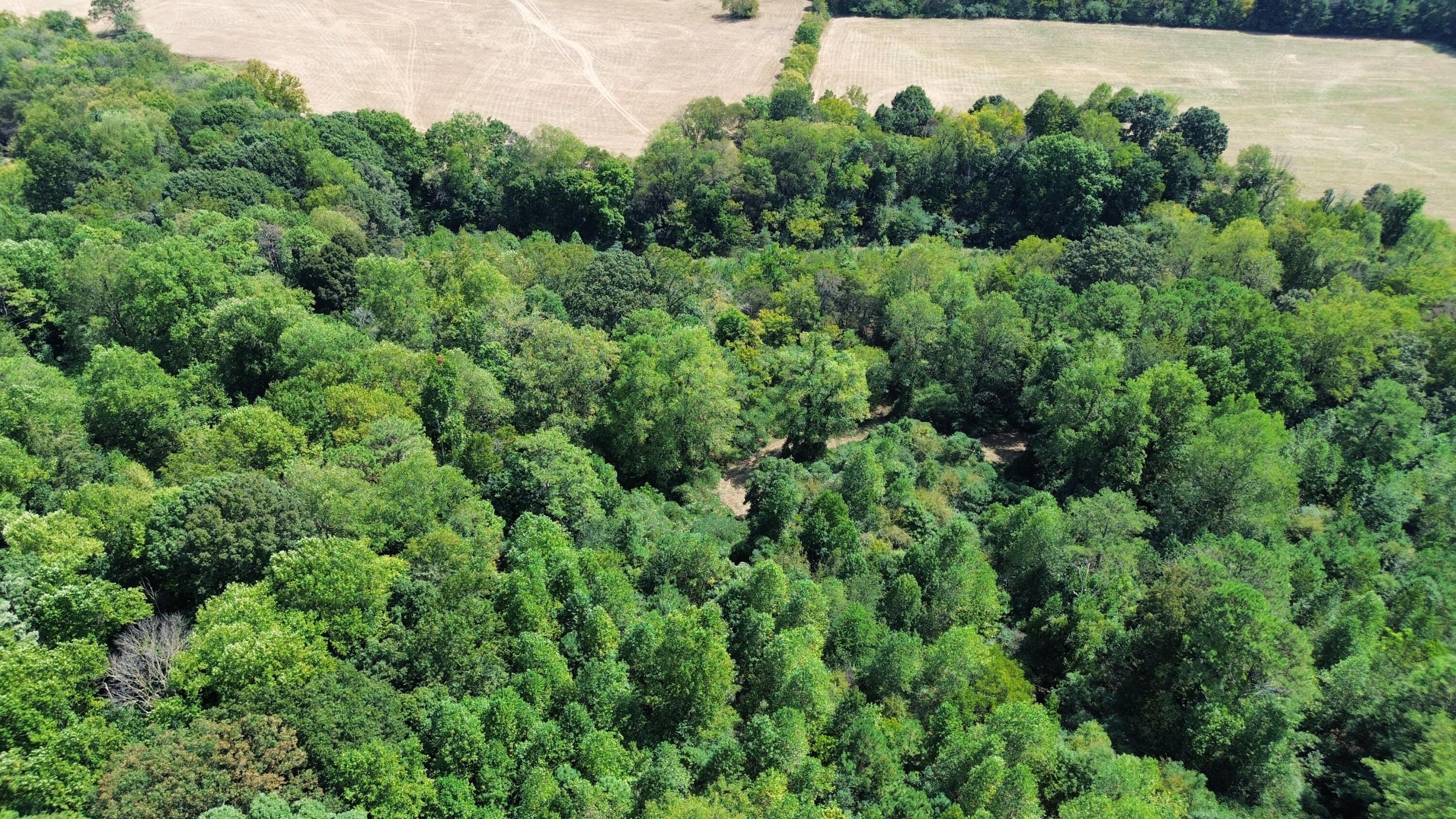 0 Long Hollow Road S, LaFayette