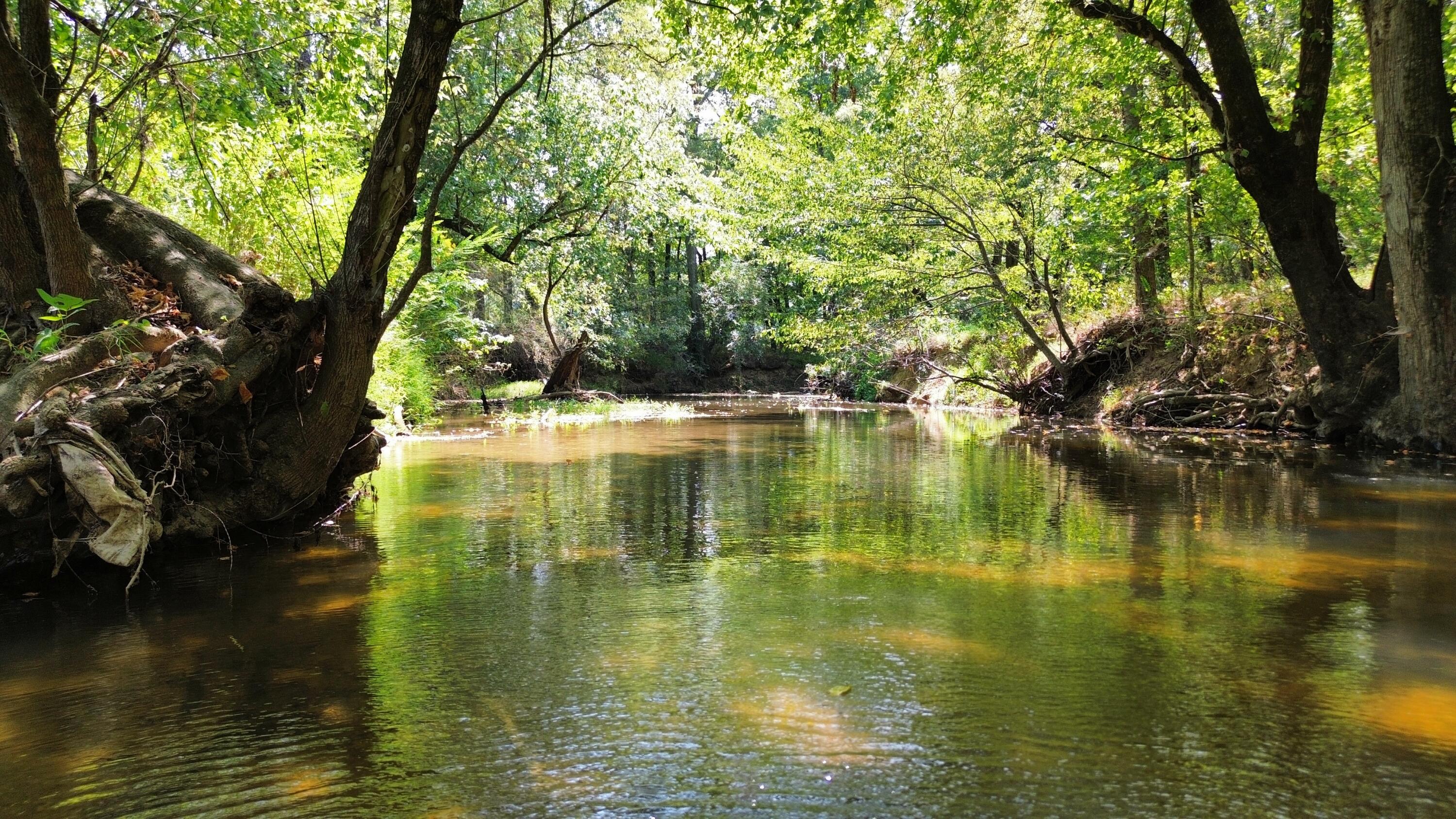 0 Long Hollow Road S, LaFayette