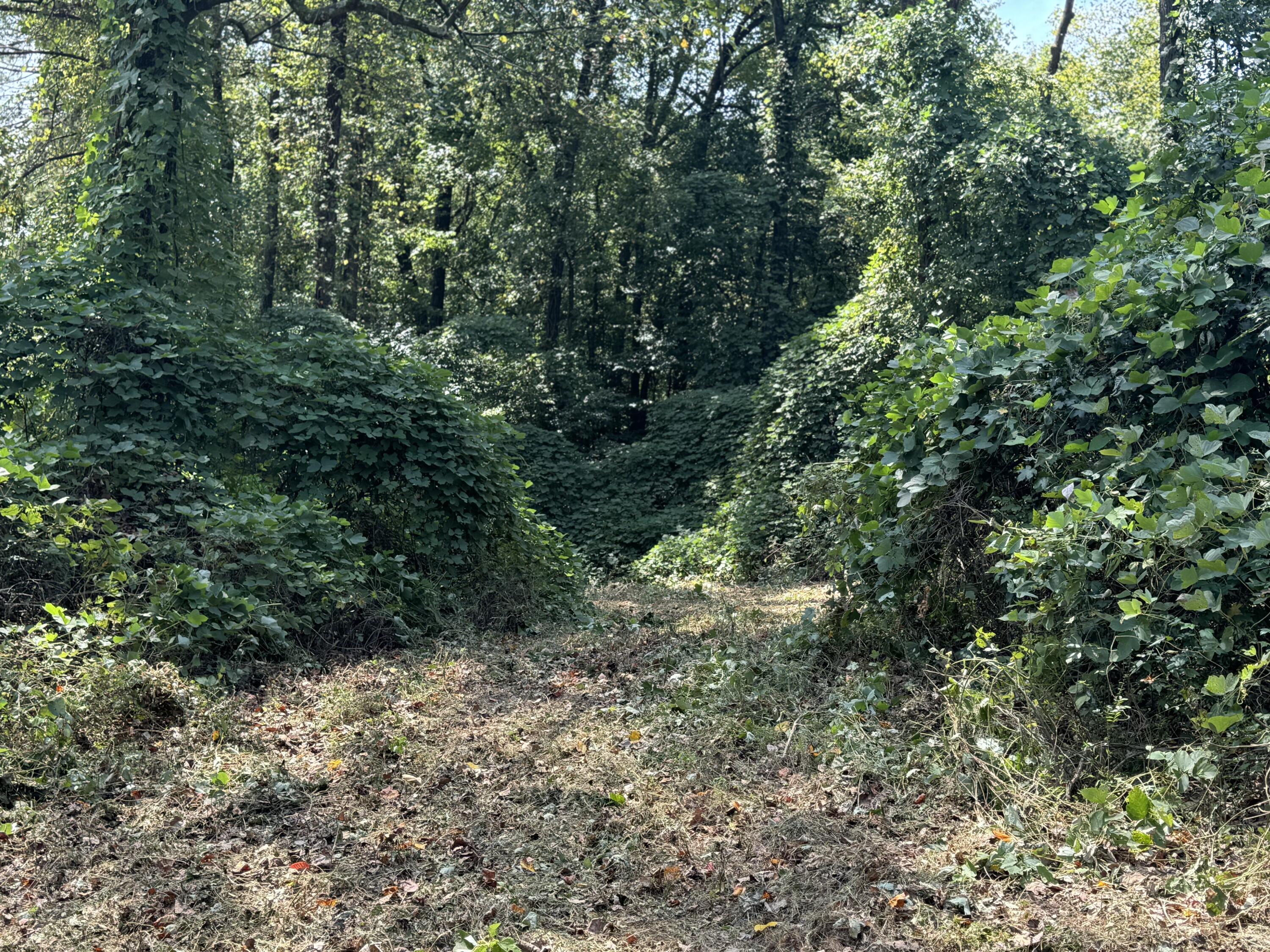 0 Long Hollow Road S, LaFayette