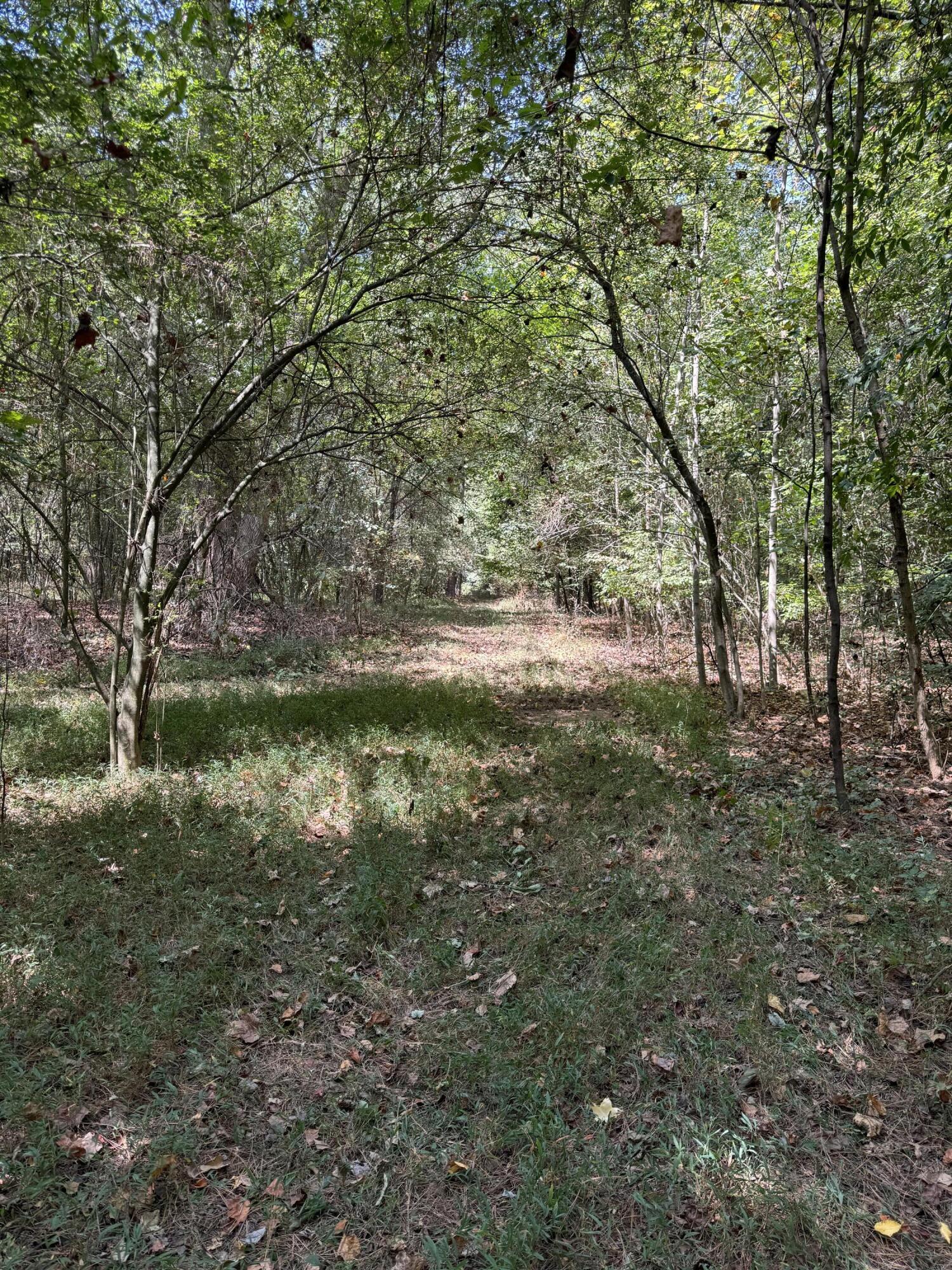 0 Long Hollow Road S, LaFayette
