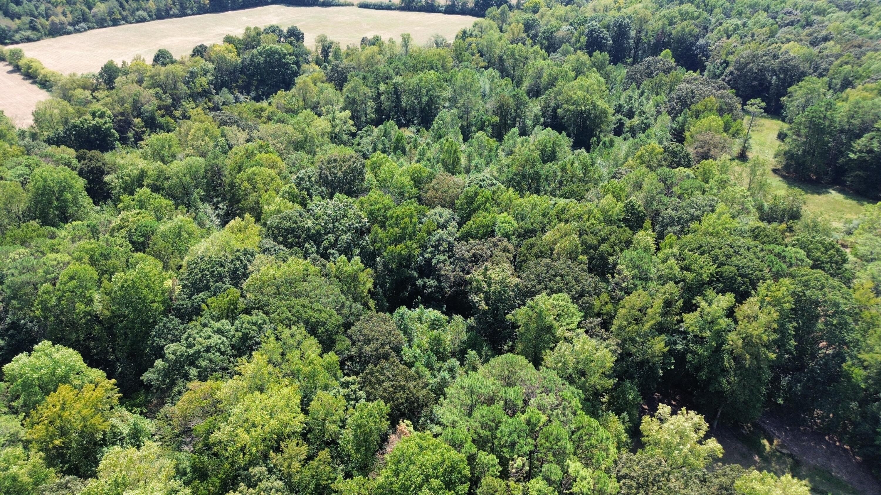0 Long Hollow Road S, LaFayette