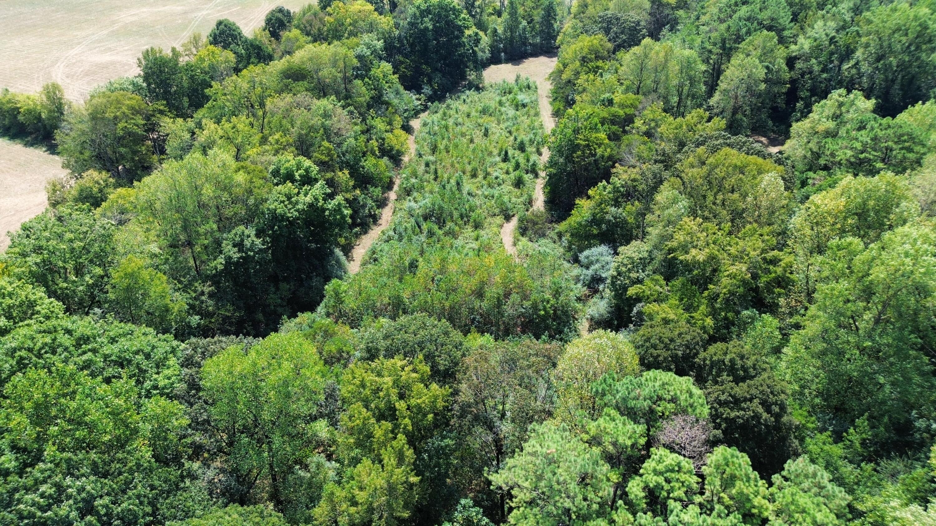 0 Long Hollow Road S, LaFayette