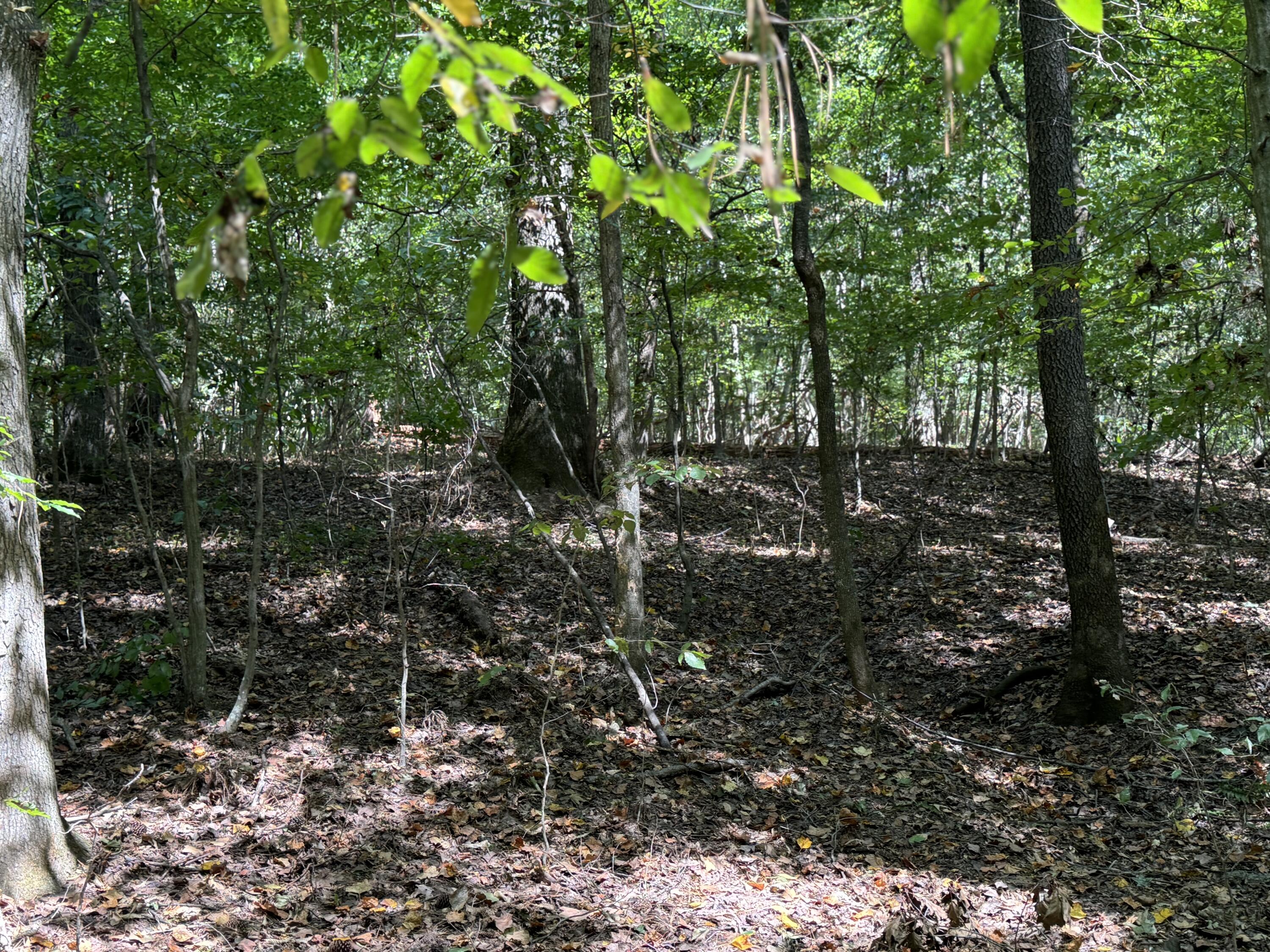 0 Long Hollow Road S, LaFayette
