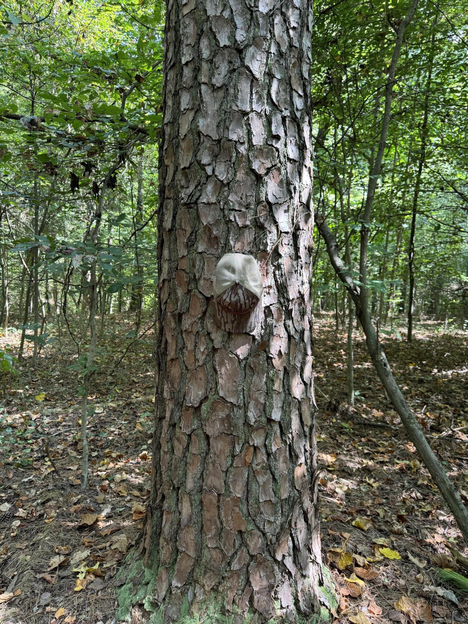 0 Long Hollow Road S, LaFayette