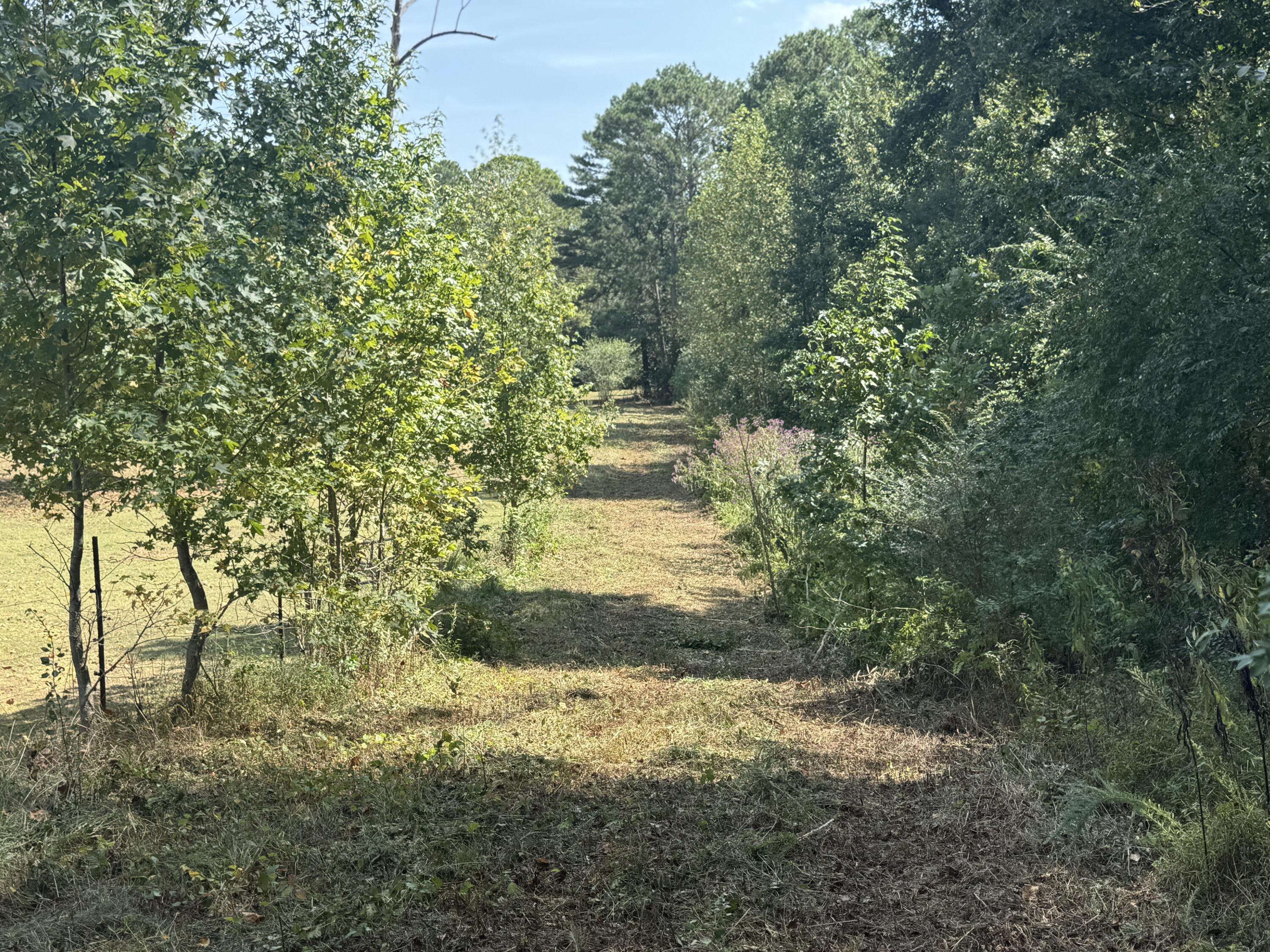 0 Long Hollow Road S, LaFayette