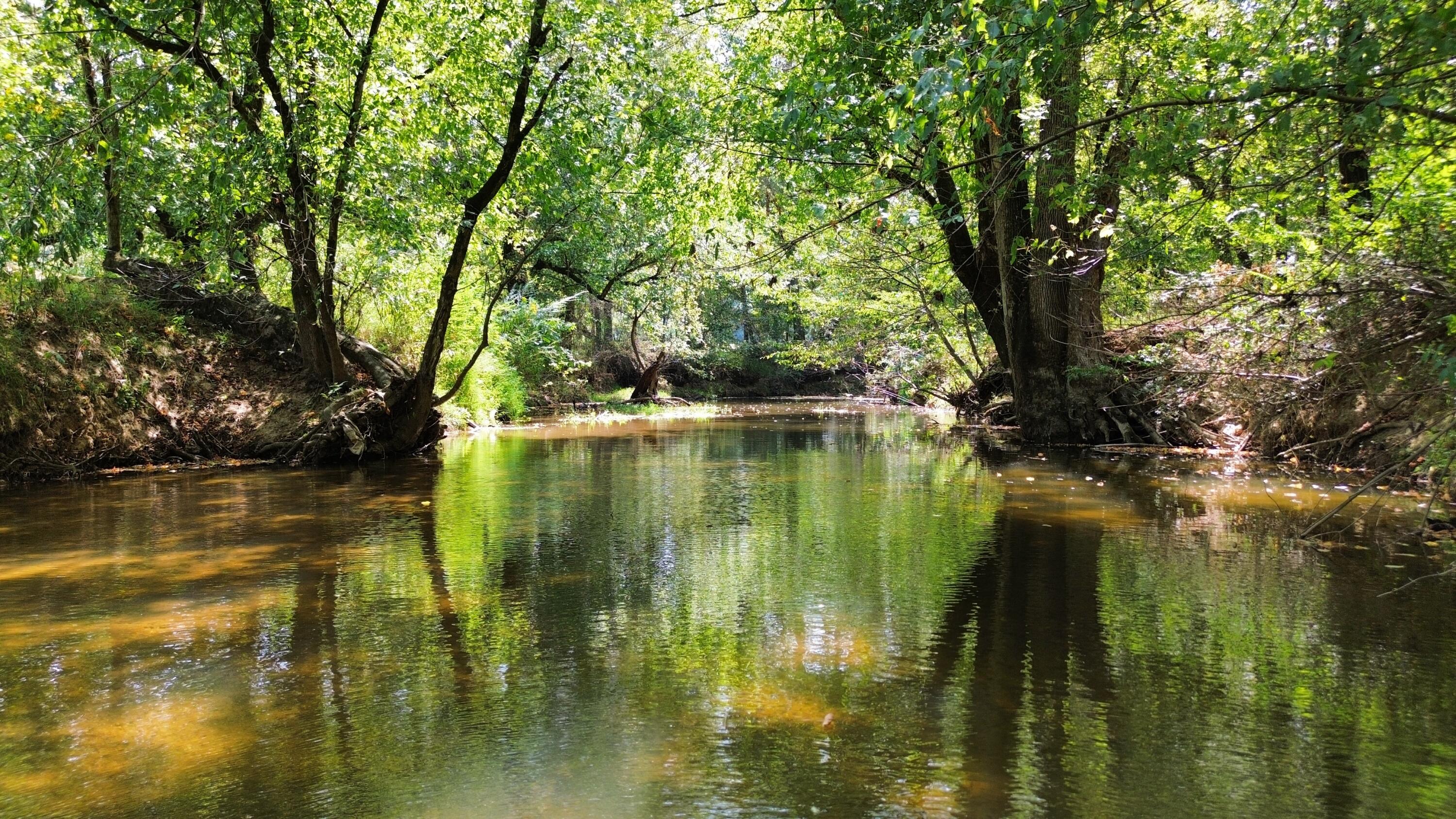 0 Long Hollow Road S, LaFayette
