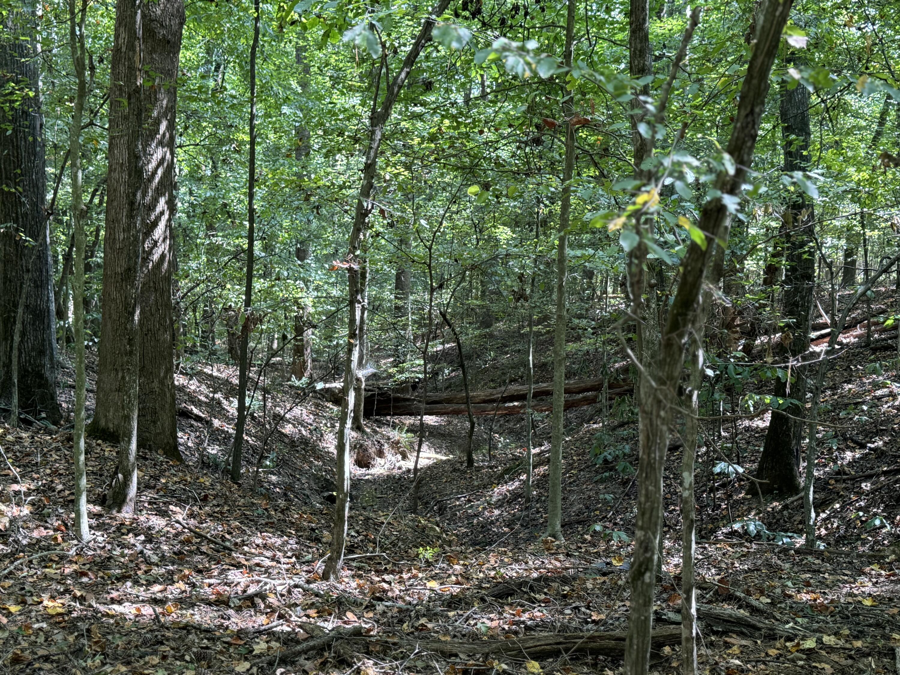 0 Long Hollow Road S, LaFayette