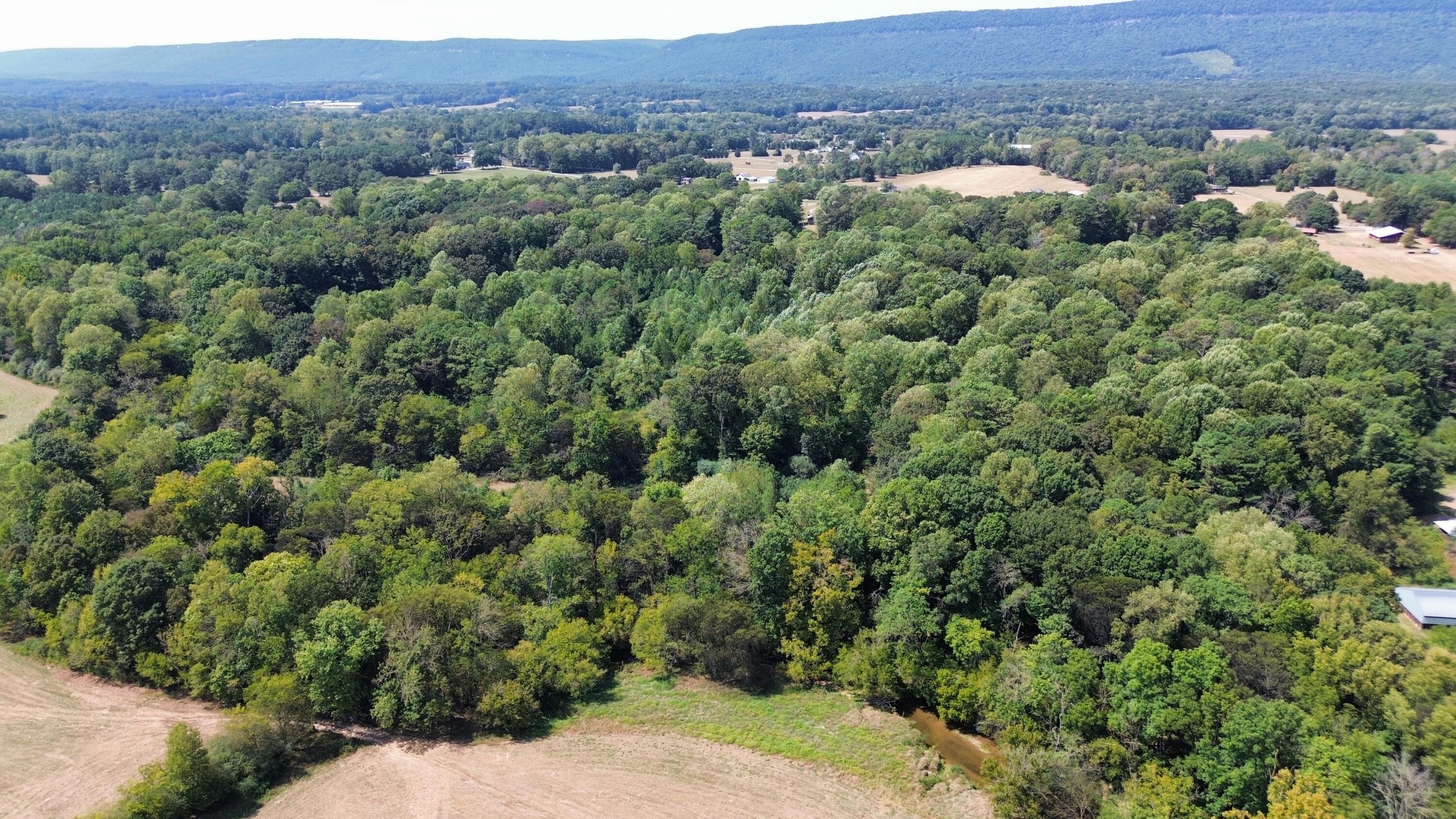 0 Long Hollow Road S, LaFayette